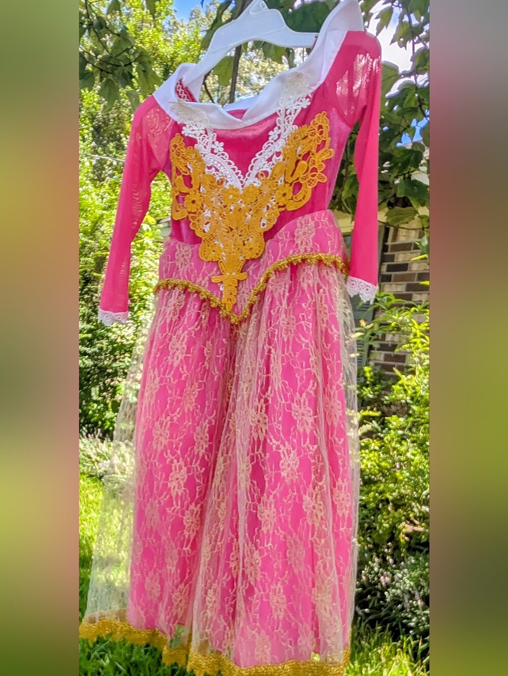 Pink Princess Lace Kids Costume Dress with Gold Appliqué